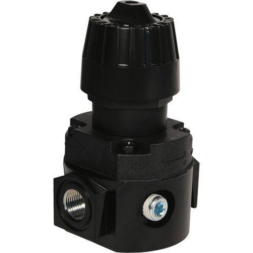 Wilkerson Compact Regulator R16, 1/4" NPT, 300 psi Max. PSI, Standard EastCoast Offshore Supplies