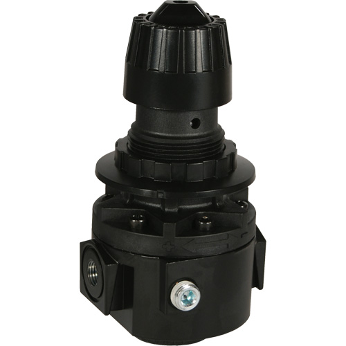 R&eacute;gulateur Wilkerson R26, 1/2" NPT, PSI max. de 300 psi, Standard EastCoast Offshore Supplies