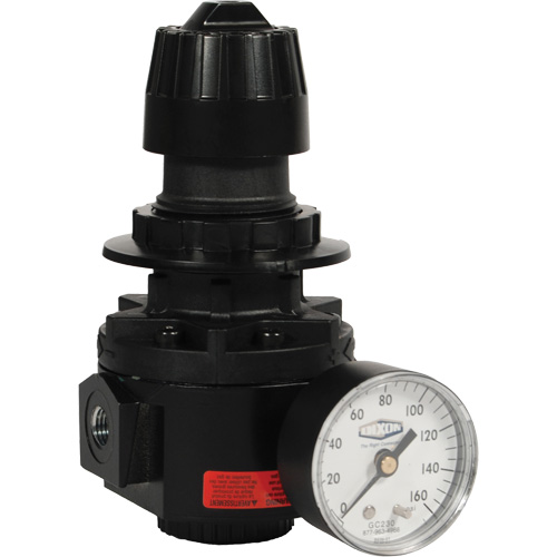 R&eacute;gulateur Wilkerson R26, 1/2" NPT, PSI max. de 300 psi, Standard EastCoast Offshore Supplies