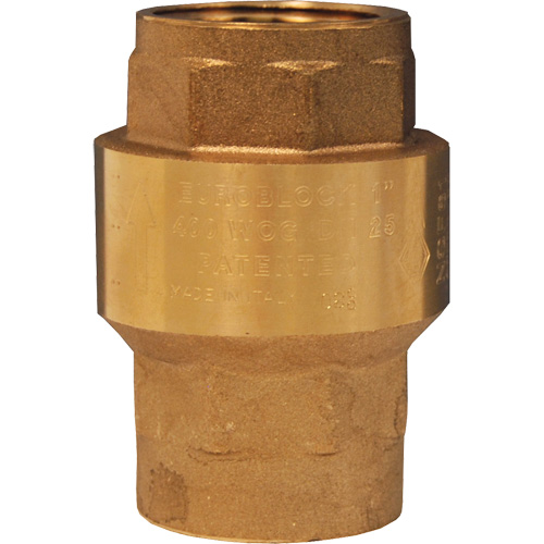 Horizontal Swing Check Valve EastCoast Offshore Supplies