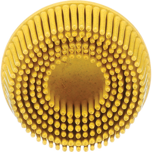 Scotch-Brite Roloc Bristle Disc, Ceramic, Medium Grit, 2" Dia. EastCoast Offshore Supplies
