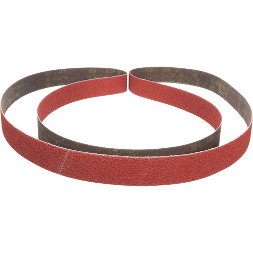 Cubitron II 984F Abrasive Belt, 2" W x 132" L, Ceramic, 36+ Grit EastCoast Offshore Supplies