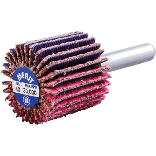 Mini-meule &agrave; lamelles mont&eacute;e sur tige, C&eacute;ramique d'alumine, Grain 40, 1" x 1" x 1/4" EastCoast Offshore Supplies