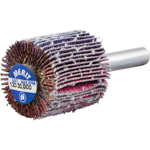 Shank Mounted Mini Flap Wheel, Ceramic Alumina, 120 Grit, 1" x 1" x 1/4" EastCoast Offshore Supplies