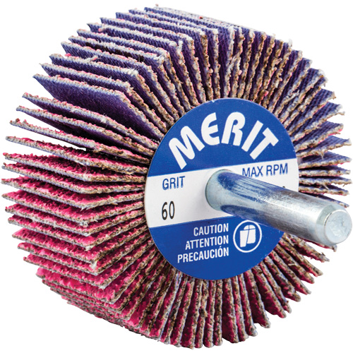 Mini-meule &agrave; lamelles mont&eacute;e sur tige, C&eacute;ramique d'alumine, Grain 60, 2" x 1" x 1/4" EastCoast Offshore Supplies
