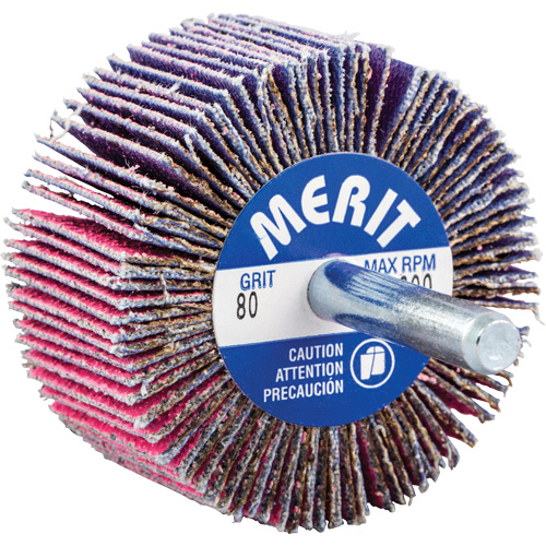 Mini-meule &agrave; lamelles mont&eacute;e sur tige, C&eacute;ramique d'alumine, Grain 80, 2" x 1" x 1/4" EastCoast Offshore Supplies