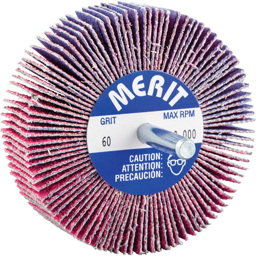 Mini-meule &agrave; lamelles mont&eacute;e sur tige, C&eacute;ramique d'alumine, Grain 60, 3" x 1" x 1/4" EastCoast Offshore Supplies
