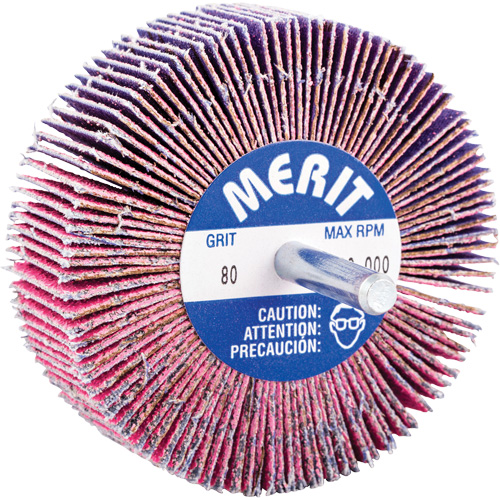 Mini-meule &agrave; lamelles mont&eacute;e sur tige, C&eacute;ramique d'alumine, Grain 80, 3" x 1" x 1/4" EastCoast Offshore Supplies