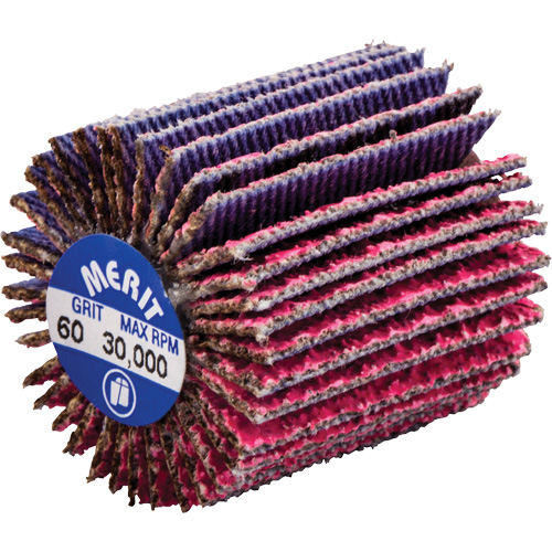 Mini-meule &agrave; lamelles filet&eacute;es, C&eacute;ramique d'alumine, Grain 60, 1" x 1" x 1/4"-20 EastCoast Offshore Supplies