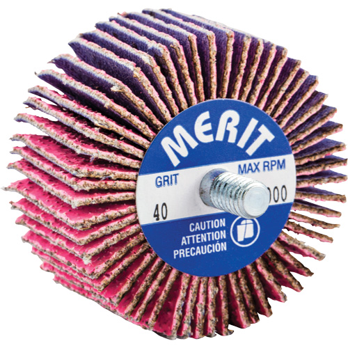 Mini-meule &agrave; lamelles filet&eacute;es, C&eacute;ramique d'alumine, Grain 40, 2" x 1" x 1/4"-20 EastCoast Offshore Supplies