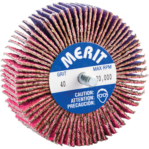 Mini-meule &agrave; lamelles filet&eacute;es, C&eacute;ramique d'alumine, Grain 40, 3" x 1" x 1/4"-20 EastCoast Offshore Supplies