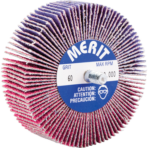 Mini-meule &agrave; lamelles filet&eacute;es, C&eacute;ramique d'alumine, Grain 60, 3" x 1" x 1/4"-20 EastCoast Offshore Supplies