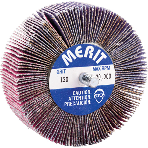 Threaded Mini Flap Wheel, Ceramic Alumina, 120 Grit, 3" x 1" x 1/4"-20 EastCoast Offshore Supplies