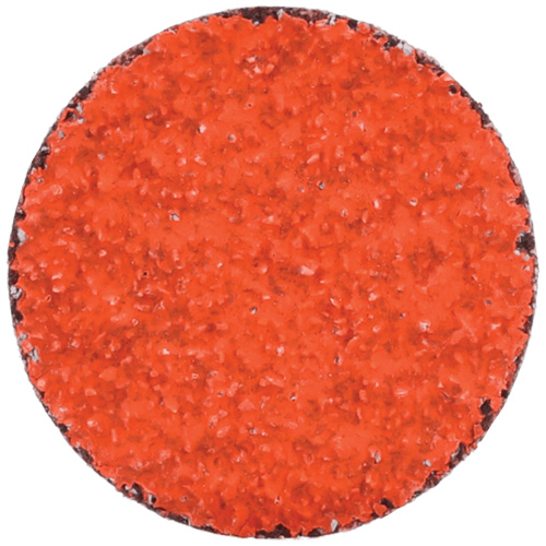 Blaze R980P CA Coarse Grit TS (Type II) Quick-Change Cloth Disc, 3" Dia., 60 Grit, Ceramic EastCoast Offshore Supplies