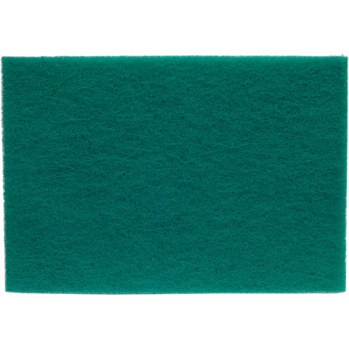 Tampons manuels Bear-Tex, Oxyde d'aluminium, 6" x 9", Grain Tr&egrave;s fin EastCoast Offshore Supplies