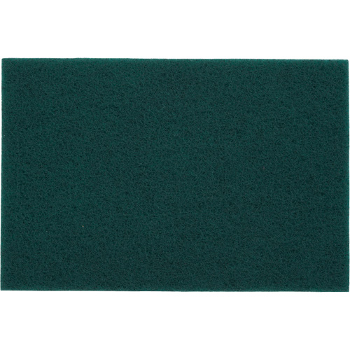 Tampons manuels Bear-Tex, Oxyde d'aluminium, 6" x 9", Grain Tr&egrave;s fin EastCoast Offshore Supplies