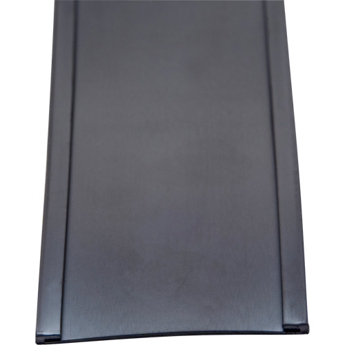 Porte-&eacute;tiquette, Magn&eacute;tique, 600" lo x 2" la EastCoast Offshore Supplies