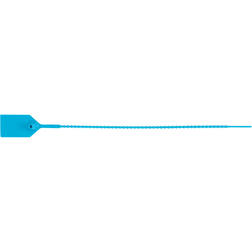 Scell&eacute; de s&eacute;curit&eacute; standard, 12", Plastique, Scell&eacute; en plastique EastCoast Offshore Supplies