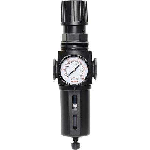 Filtre/r&eacute;gulateur drain manuel avec bol standard Modulair 300, 1/4" NPT, 150 psi, Capacit&eacute; de 5,1 oz liq. EastCoast Offshore Supplies