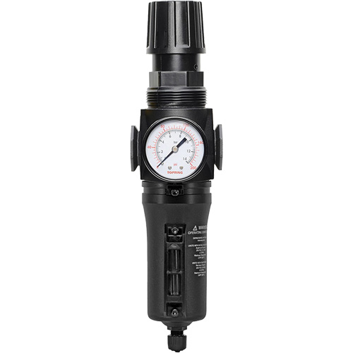 Filtre/r&eacute;gulateur drain manuel avec bol en m&eacute;tal Modulair 300, 1/4" NPT, 250 PSI, Capacit&eacute; de 5,1 oz liq. EastCoast Offshore Supplies