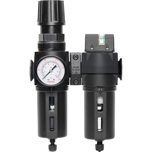 Filtre/d&eacute;tendeur & filtre coalescent Modulair 300 avec bol standard & drain manuel, 3/8" NPTF, 150 psi, Capacit&eacute; de 5,12 oz liq EastCoast Offshore Supplies
