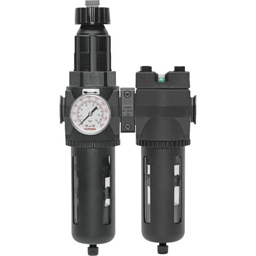 Filtre/d&eacute;tendeur & filtre coalescent Modulair 400 avec bol standard & drain manuel, 3/4" NPTF, 150 psi, Capacit&eacute; de 9,13 oz liq. EastCoast Offshore Supplies