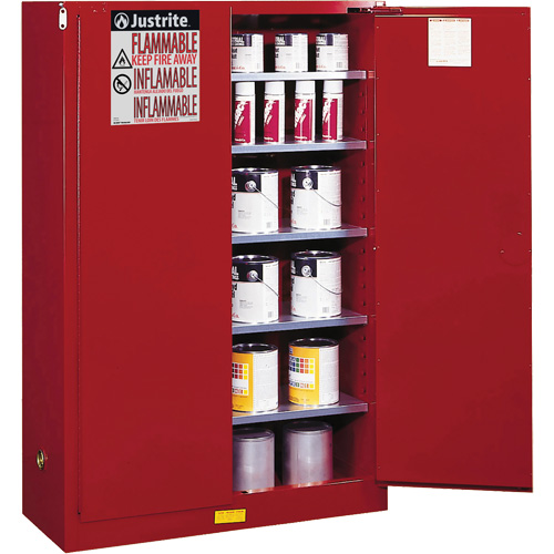 Armoire de s&eacute;curit&eacute; pour la peinture et les encres combustibles EX Sure-Grip, 60 gal., 5 tablettes EastCoast Offshore Supplies