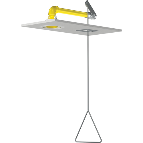 Horizontal Supply Emergency Shower Stations, Ceiling-Mount EastCoast Offshore Supplies