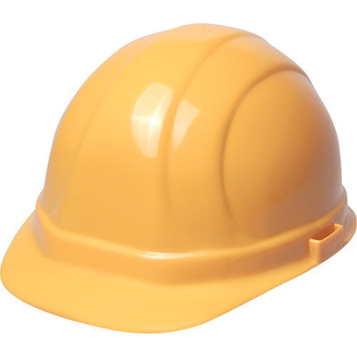 ERB Casque de s&eacute;curit&eacute; Omega II, R&eacute;pond aux normes CSA type 2, Suspension Rochet, Non ventil&eacute; EastCoast Offshore Supplies