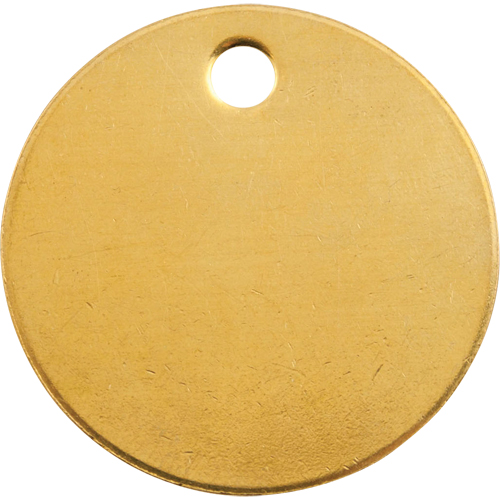 Blank Tags, Brass, 1" dia EastCoast Offshore Supplies