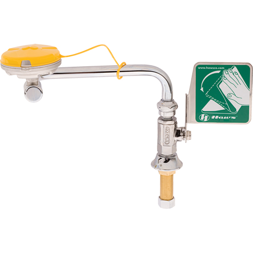 Axion&reg; Eye/Face Wash Station, Sink Mount Installation EastCoast Offshore Supplies