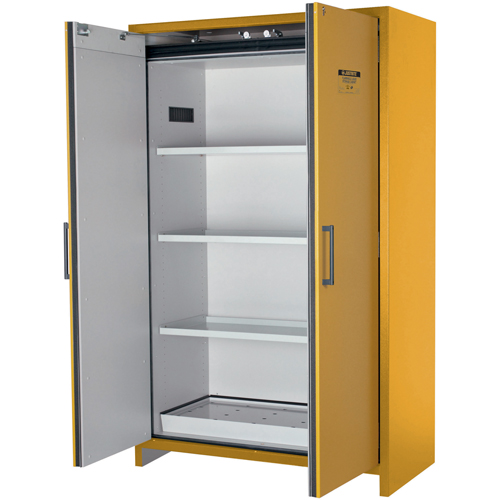 Armoire d'entreposage 90 minutes s&eacute;curitaire et conforme &agrave; la norme EN, 45 gal., 2 Porte(s), 46,97" La x 76,89" h x 24,21" p EastCoast Offshore Supplies