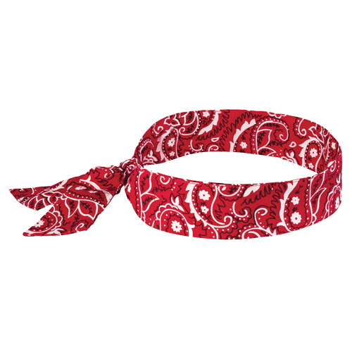 Chill-Its&reg; 6700 Cooling Bandanas, Red EastCoast Offshore Supplies