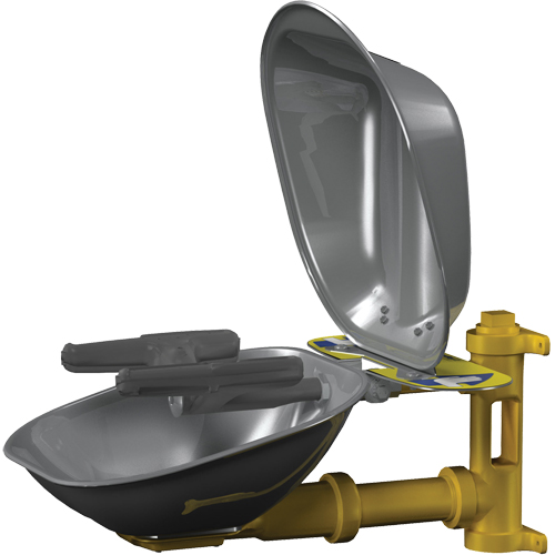 Halo Face/Eyewash Stations, Wall-Mount Installation, Stainless Steel Bowl EastCoast Offshore Supplies