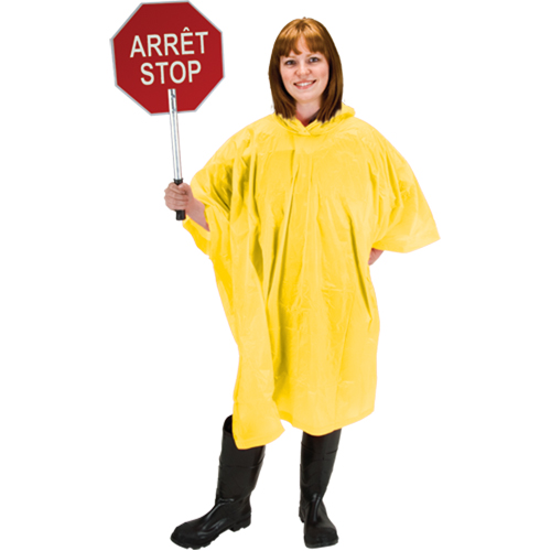 RZ Poncho EastCoast Offshore Supplies