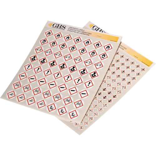 GHS Hazard Pictogram Label Variety Packs, Vinyl, Sheet, 1/2" L x 1/2" W EastCoast Offshore Supplies