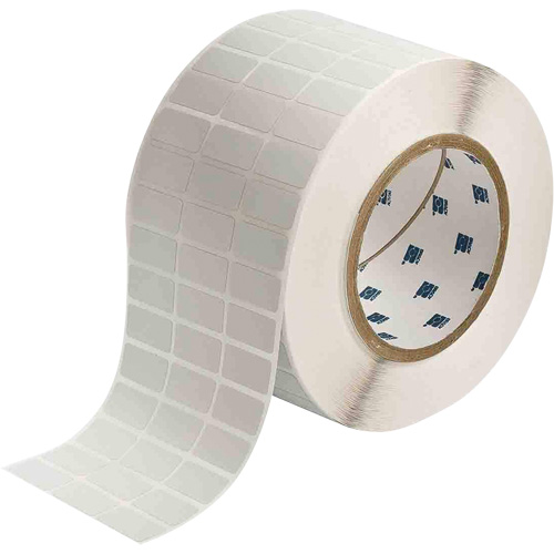 Glossy Rating Plate Labels, Metalized Polyester, 1" L x 0.5" H, Silver EastCoast Offshore Supplies