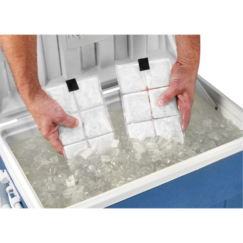 Sachets pour veste de refroidissement &agrave; changement de phase 6260 Chill-Its EastCoast Offshore Supplies