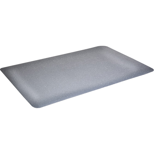 Tapis antimicrobiens WD Foodmaster, Lisse, 3' x 4' x 9/16", Gris, Nitrile/Caoutchouc EastCoast Offshore Supplies