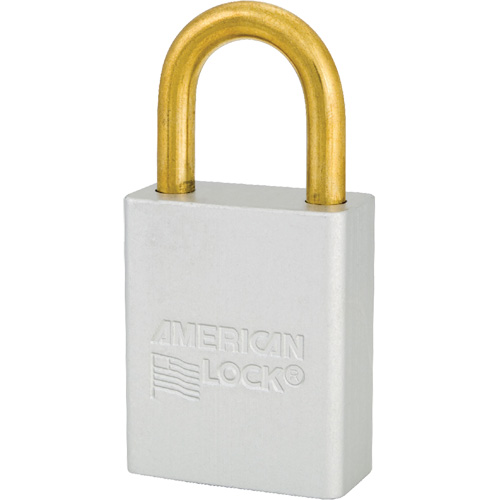 Cadenas de s&eacute;curit&eacute; American Lock, Transparent, Cl&eacute;s identiques, Aluminium, Largeur de 1-1/2" EastCoast Offshore Supplies