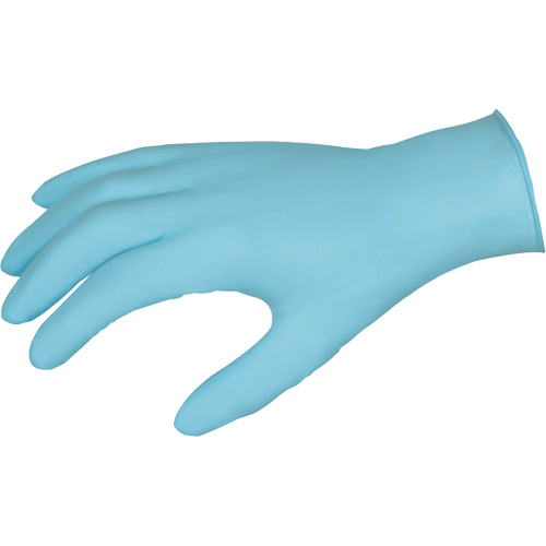 DuraShield Disposable Gloves, Large, Nitrile, 3-mil, Powder-Free, Blue EastCoast Offshore Supplies