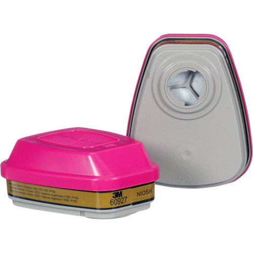 Cartouche, Combinaison cartouche et filtre contre les particules pour gaz/vapeurs, Gaz multiples/Vapeurs/P100 EastCoast Offshore Supplies