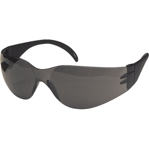 CeeTec Safety Glasses, Grey Lens, Anti-Fog/Anti-Scratch, Meets/Exceeds CSA Z94.3 EastCoast Offshore Supplies