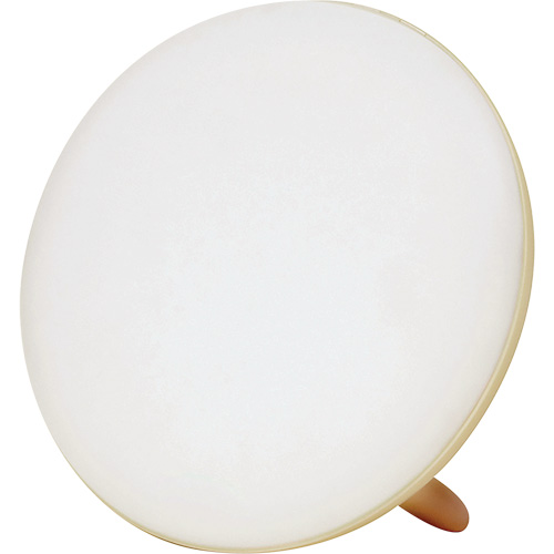Jumbo Therapy Light for Seasonal Affective Disorder EastCoast Offshore Supplies
