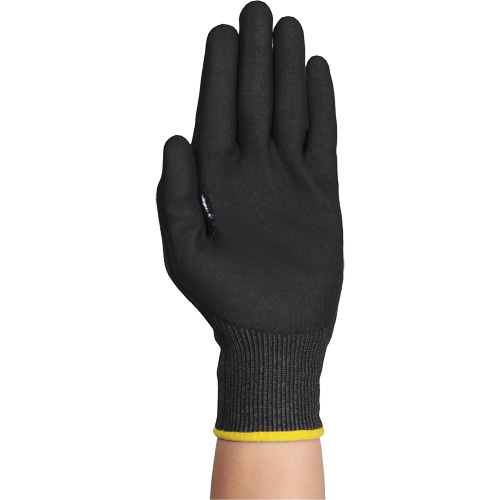 Gants r&eacute;sistants &agrave; la coupe HYFLEX 11-594, Taille 12/3T-Grand, Calibre 18, Rev&ecirc;tement Nitrile, Enveloppe en PEHP/Intercept, ASTM ANSI niveau A9/EN 388 niveau F EastCoast Offshore Supplies