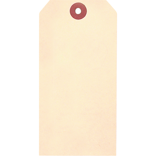 &eacute;tiquettes vierges en papier cartonn&eacute; de manille, Papier cartonn&eacute;, 1-5/8" la x 3-1/4" h EastCoast Offshore Supplies