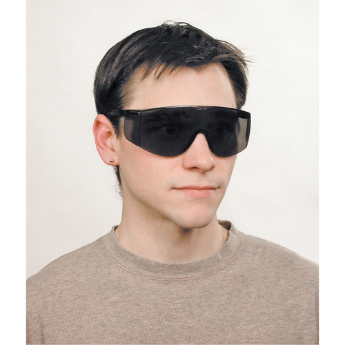 Tacoma&reg; Safety Glasses, Grey/Smoke Lens, Anti-Scratch, ANSI Z87+ EastCoast Offshore Supplies