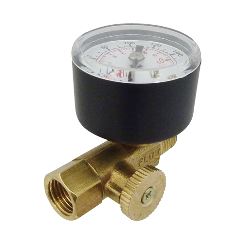 R&eacute;gulateurs &agrave; canalisation directe, 1/4" NPT, PSI max. de 160 PSI, Canalisation EastCoast Offshore Supplies