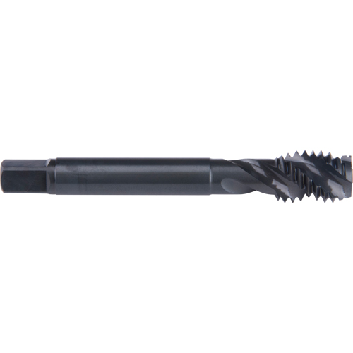 Taraud &agrave; cannelure en spirale 45°, Acier rapide au cobalt, Filet de 7/8"-9, 4-11/16" l EastCoast Offshore Supplies