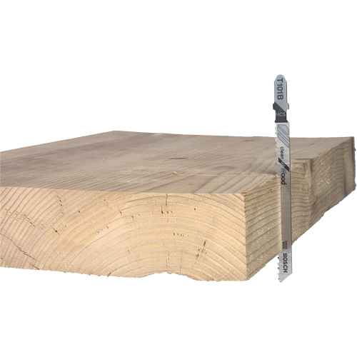 Lame de scie alternative pour la coupe du bois, Acier &agrave; haute teneur en carbone, Tige en T, 4" lo, 10 dents par pouce EastCoast Offshore Supplies